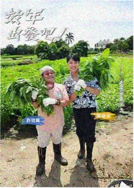 城市考古 免费追剧软件人文纪录片